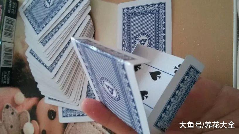 给大家科普一下！皮带扑克牌扫描仪最新款,推荐4个良心渠道