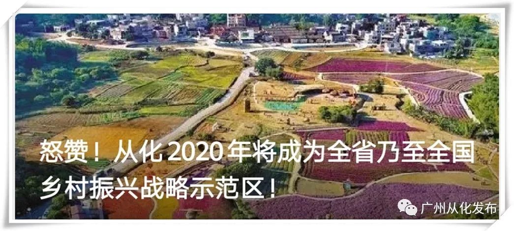 盘点十款！大运河江苏麻将确实真的有挂(怎么玩赢几率大)