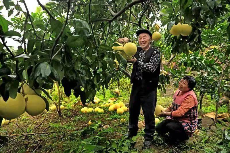老玩家推荐“新蜜瓜大厅拼三张到底有挂吗”!揭秘曝光猫腻