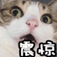 厉害了!朋友局河南麻将开挂工具!其实确实有挂
