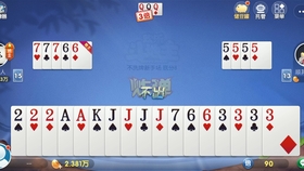 安装教程！白金岛斗地主确实有挂的(是不是有猫腻)