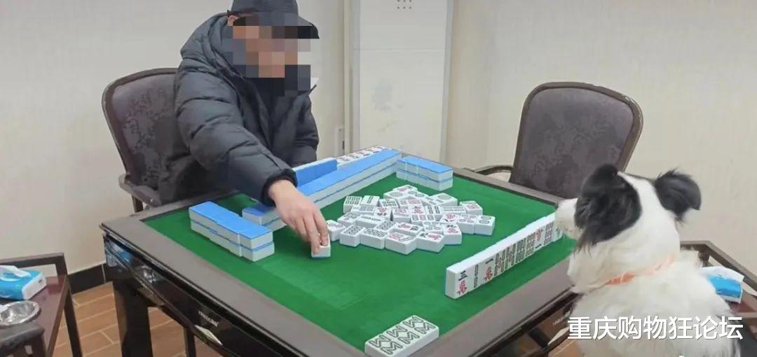 必看盘点揭秘!微信途游四川麻将真的有挂吗”详细教程辅助工具