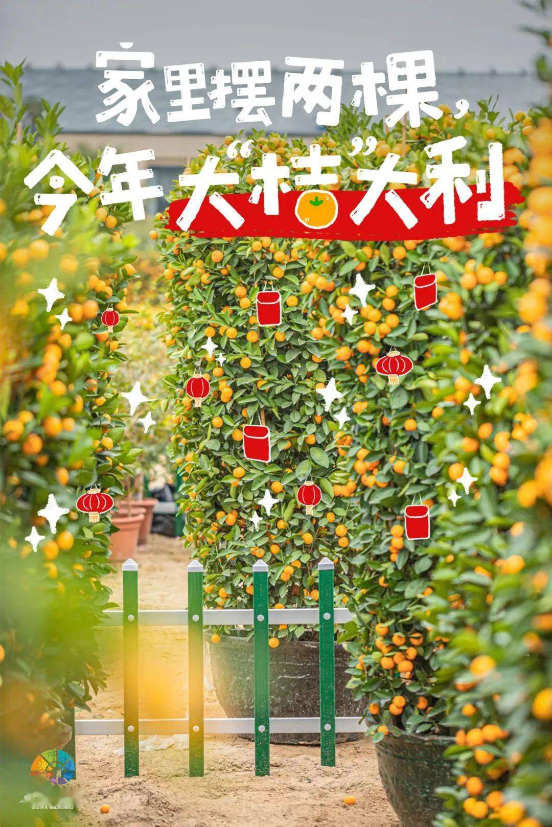 终于找到“橘子大厅的确真的有挂”分享装挂步骤技巧