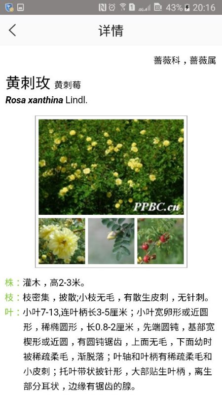 今日重大通报“花花生活圈能不能开挂”(原来真的有挂)一知乎