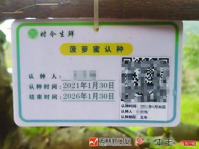 挂树上的牌字叫什么名字（挂树上的牌字叫什么名字呢）