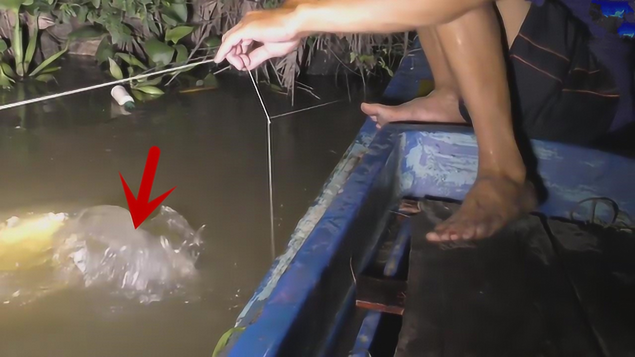 捕鱼挂6（捕鱼挂子怎么用）