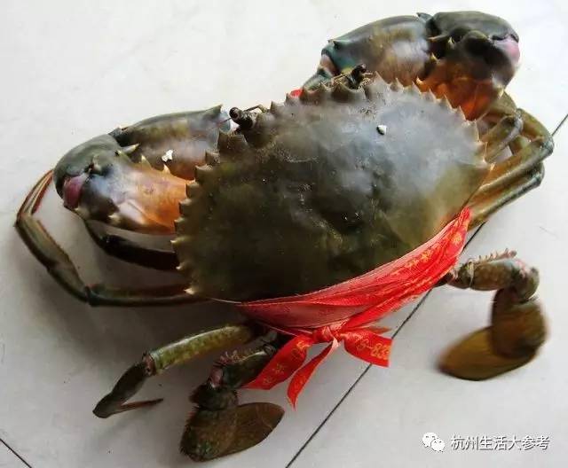 打麻将挂青蟹（麻将捉螃蟹）