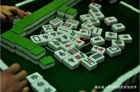 我来教教大家“手机麻将买挂”(确实是有挂)-哔哩哔哩
