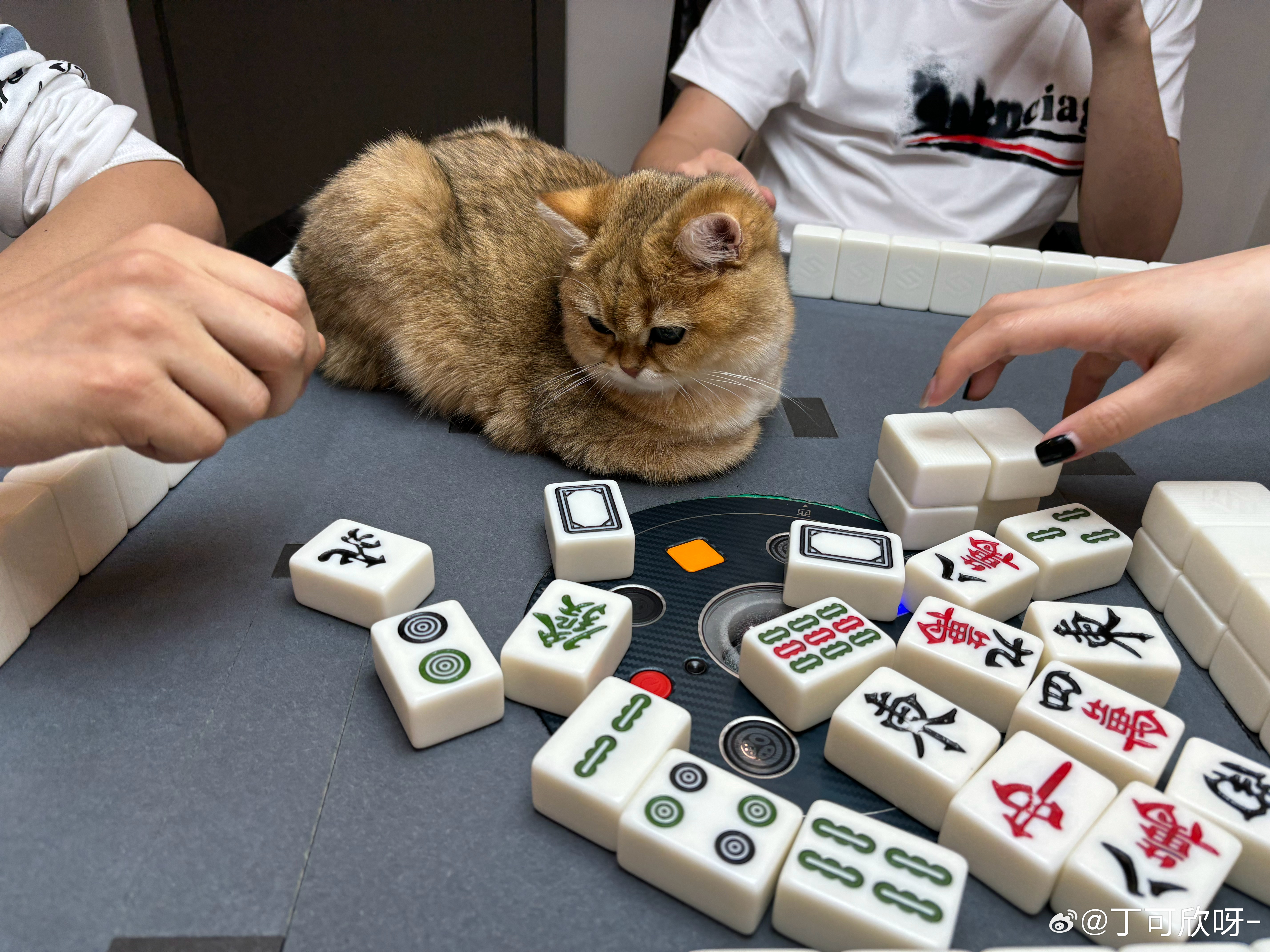 实测分享“熊猫麻将有怎么办开挂吗”-太坑了原来有挂