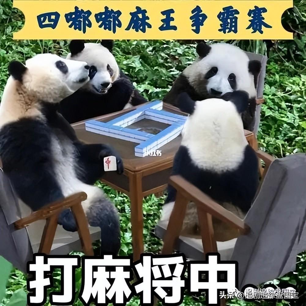 下载熊猫麻将开挂器免费版（下载熊猫麻将开挂器免费版安装）