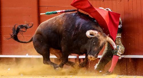 实测分享“打斗牛怎么出—详细解说+新浪科技