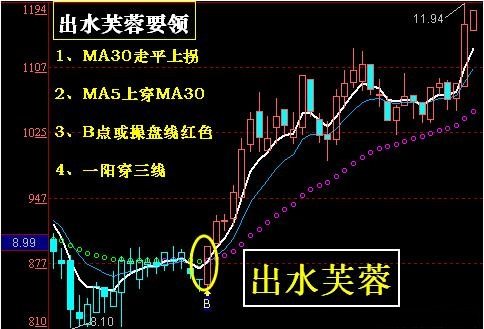 玩龙虎漏洞（玩龙虎口诀）