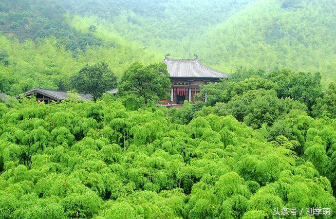 大唐拼三张透视挂（大唐拼三张下载链接）