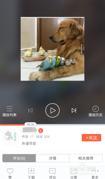 娱乐主播挂字幕侵权吗（直播屏幕挂字软件）