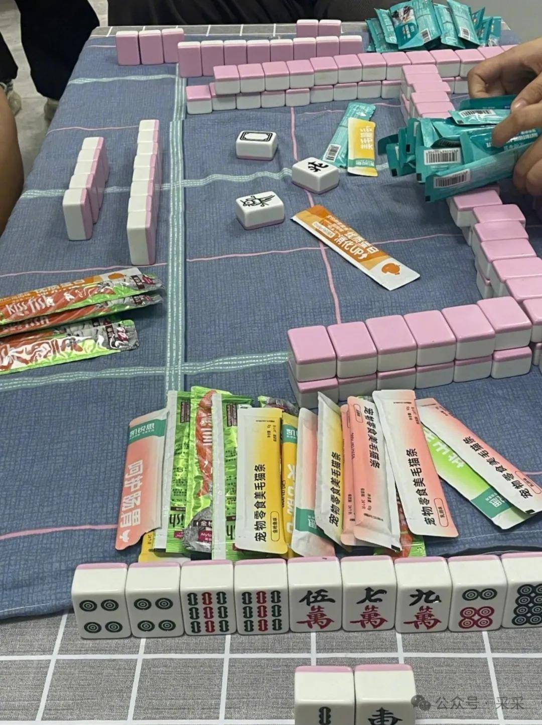 卖麻将挂（有卖打麻将的挂吗）