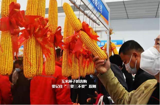 详细说明“先进玉米一《我来教教你怎么赢 》