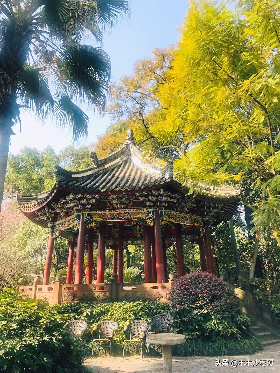 新华网情怀麻将开挂视频（新华网情怀麻将授权）