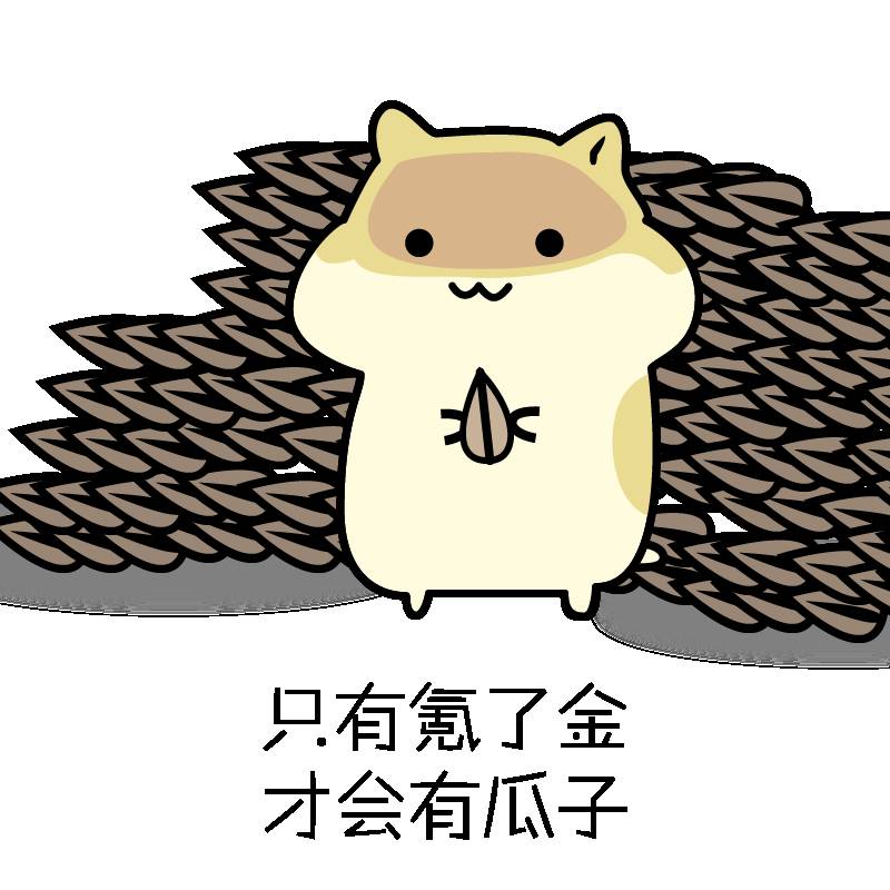 微乐贵阳捉鸡有挂（微乐贵阳捉鸡怎么玩）