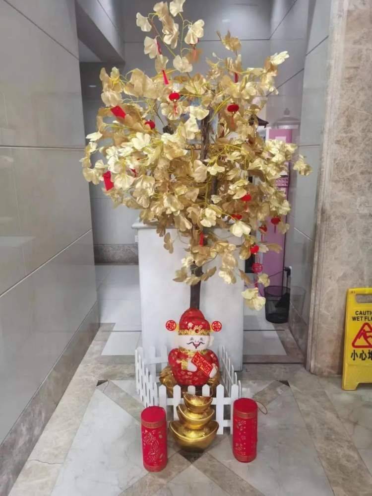 搬新家的摇钱树怎么挂（进屋摇钱树要用什么树）