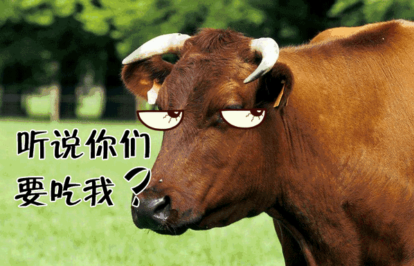 皮皮来了斗牛有挂吗（皮皮来了斗牛有卖的挂吗）