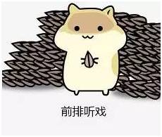 哪里有闷金花的挂（闷金花咋玩）