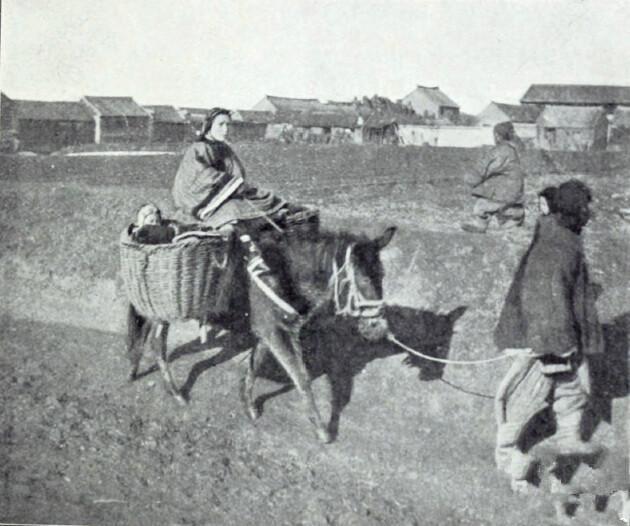 透视小地主费读（透视小地主免费全文）