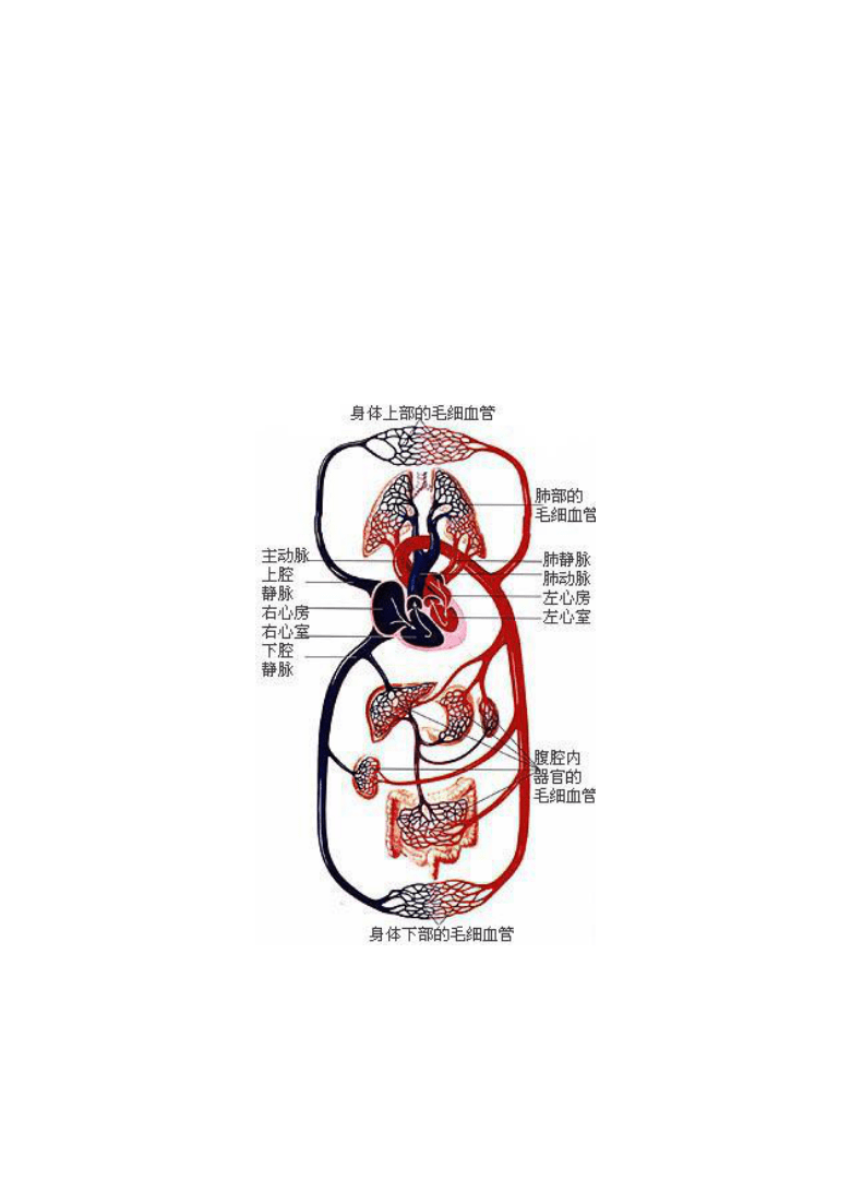 实测分享“下普通扑克牌报点仪器_《爱问知识人 使用说明》