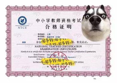 分享决窍“玩斗牛普通纸牌有机会搞假吗《新浪科技 讲解窍门》