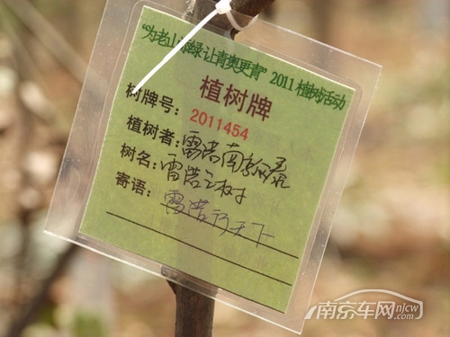 挂树牌作文四百字（给树挂牌子）