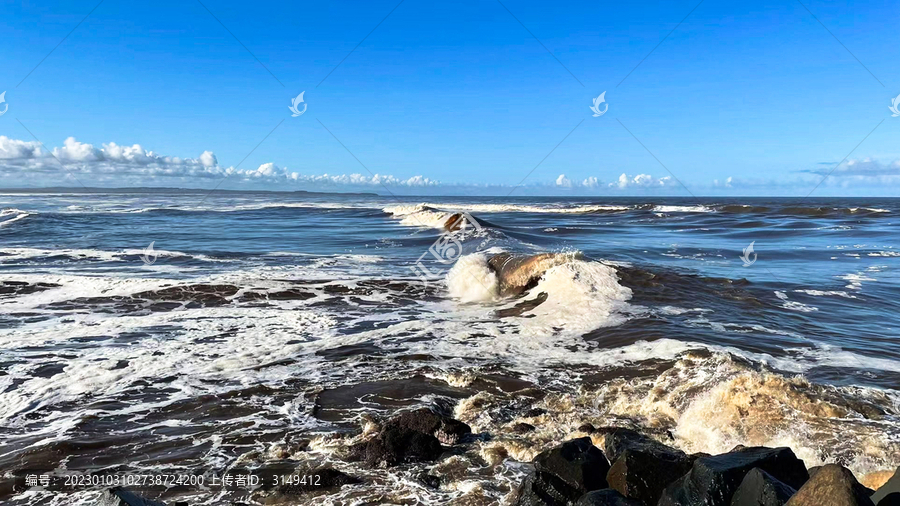 海潮拼三张免费透视（海潮图片大全）