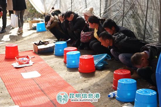 三分钟了解&quot;色子猜单双产品“推荐4个购买渠道