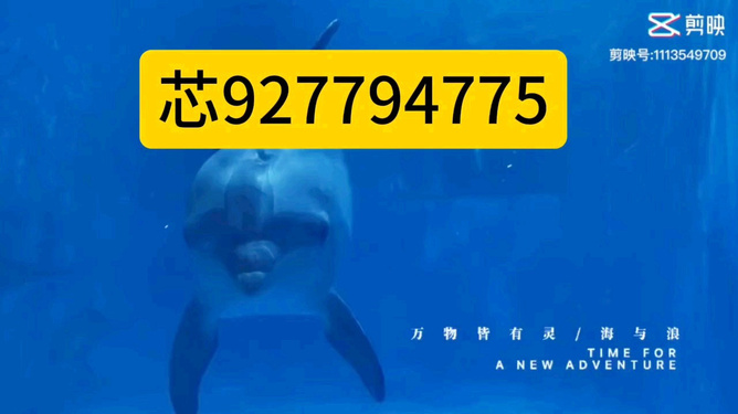 如何不开挂就能跑得快（怎么开挂跑图）