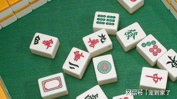教程辅助“十三水洗牌十大口诀讲解“推荐4个购买渠道