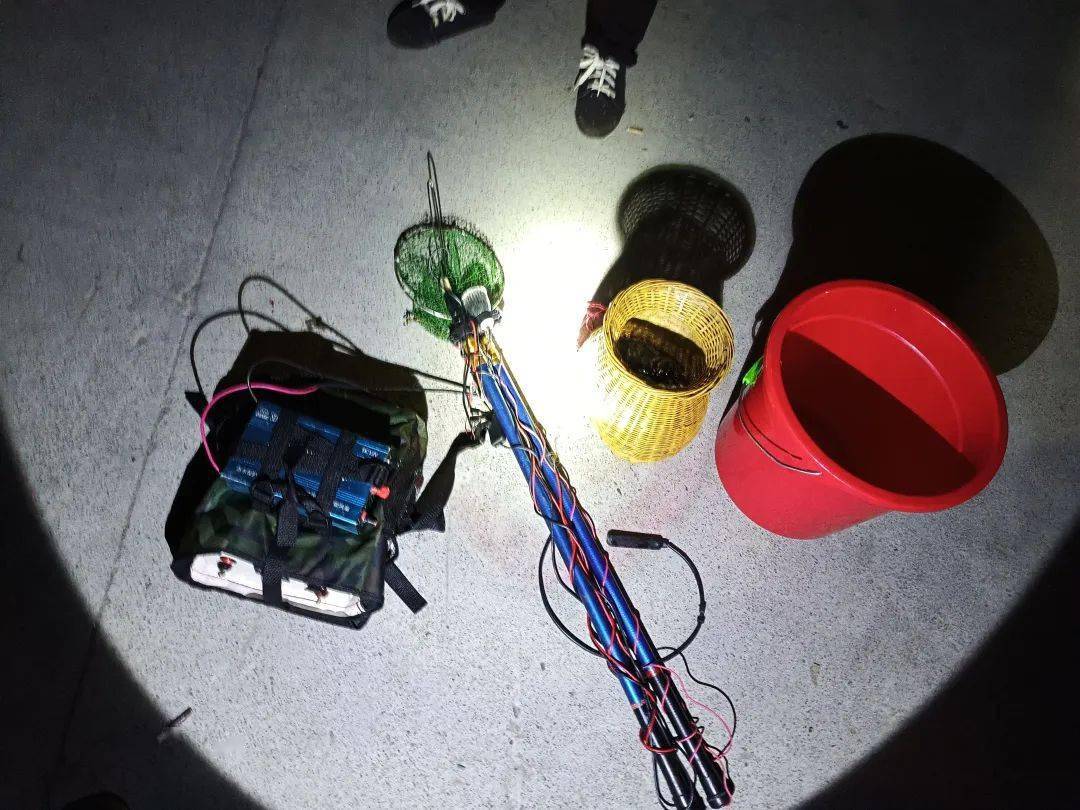 电子捕鱼有挂是真的吗（电子捕鱼器多少钱一台）